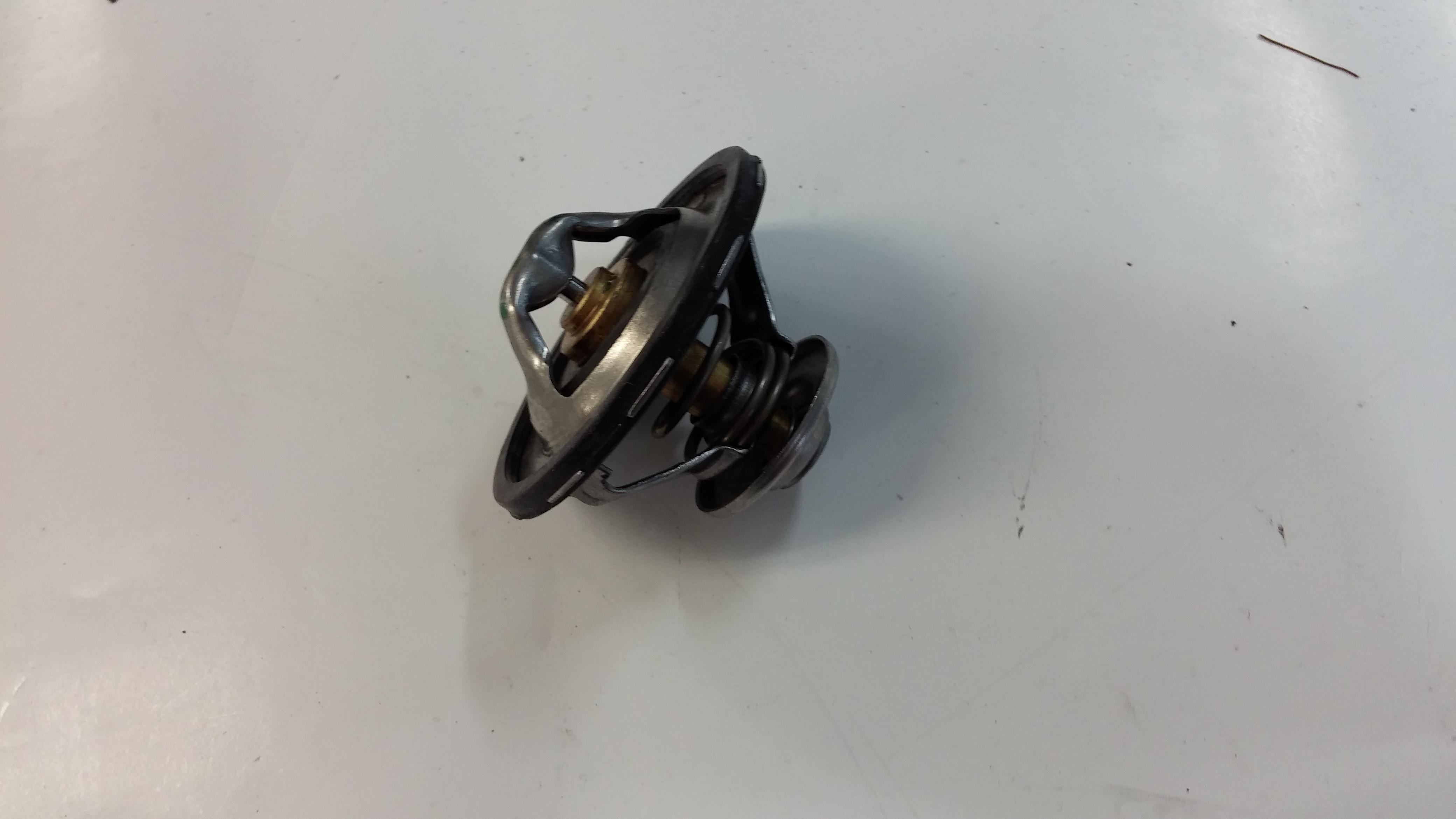 KIT, THERMOSTAT W/ GASKET