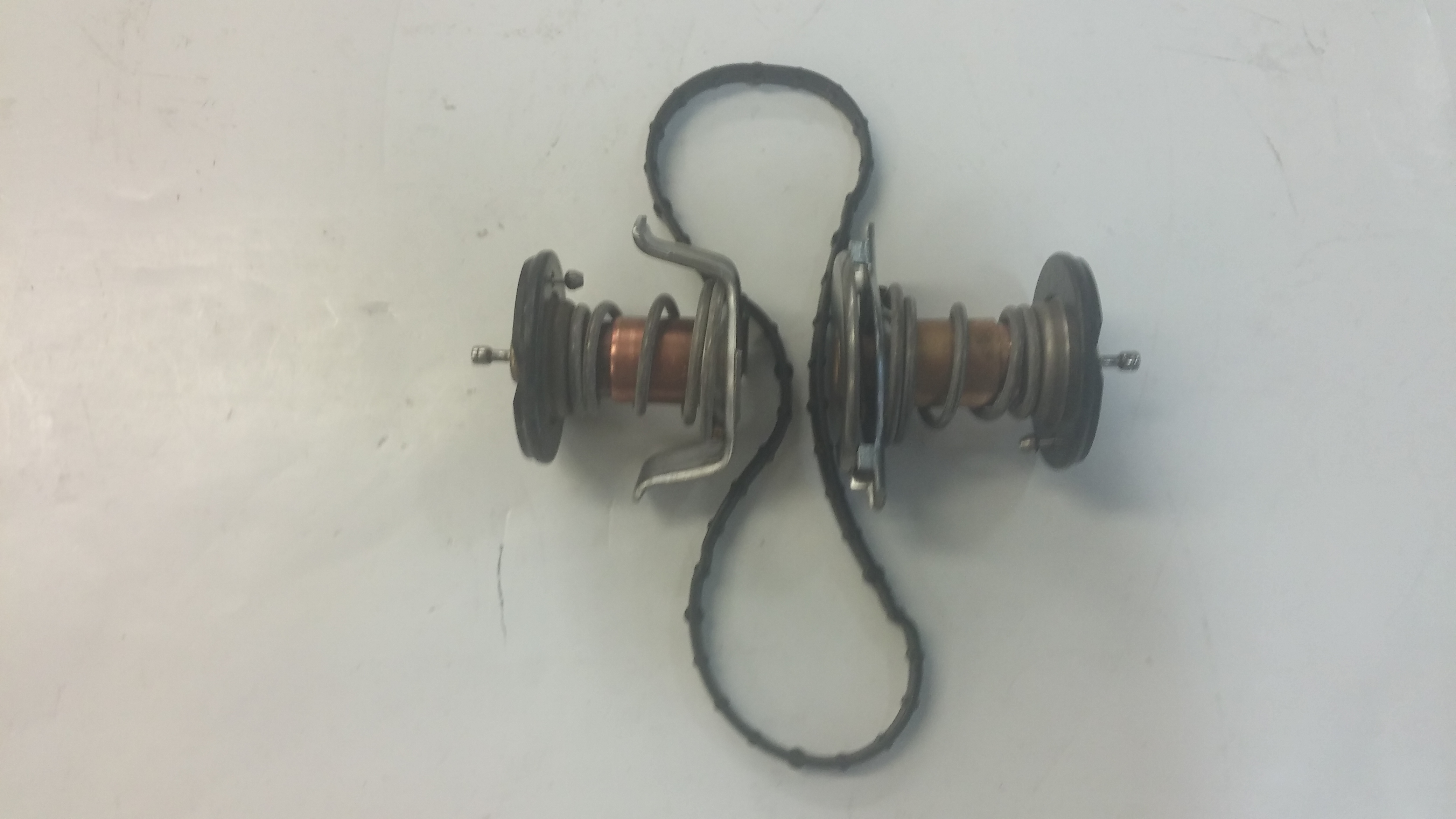 THERMOSTAT (2 KIT) MAXXFORCE 7