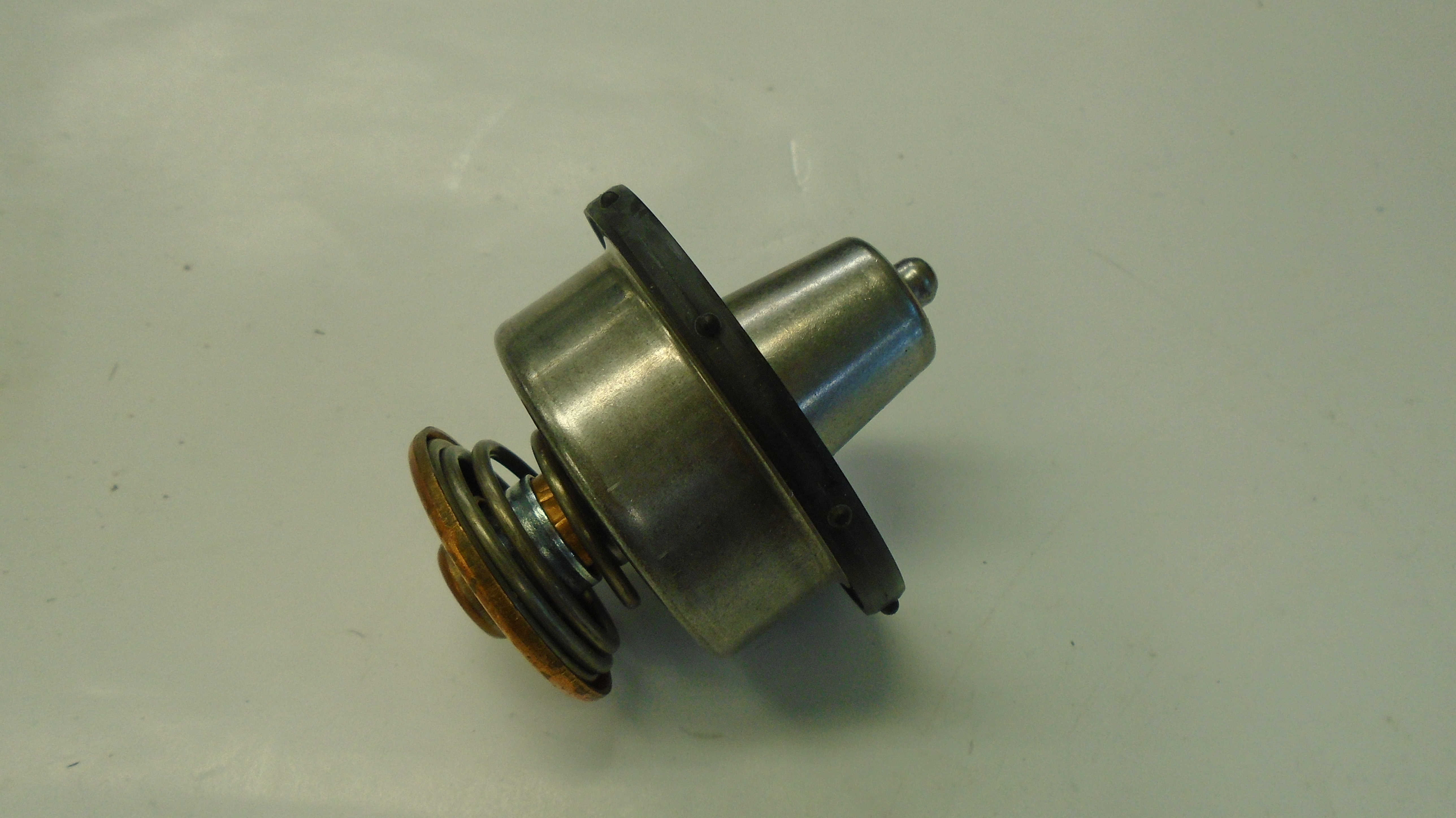 THERMOSTAT ASM, MAXX DT 466