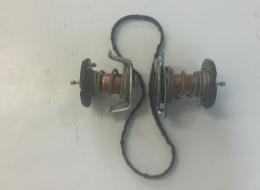 THERMOSTAT (2 KIT) MAXXFORCE 7
