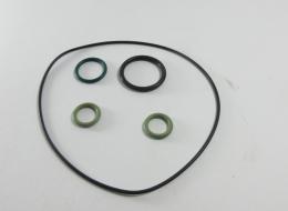 RING O TANDEM PUMP KIT