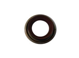 SEAL-OIL PIN/IN SHAFT 14GES